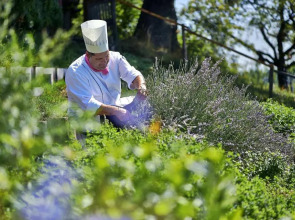 Sorell Hotel Zürichberg