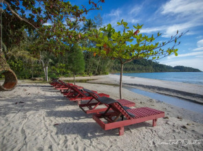 Sunshine on the rock