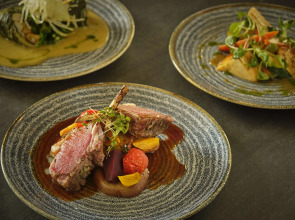 Park Plaza London Riverbank