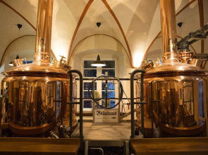 RiKu HOTEL Weissenhorn