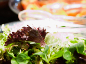 Suites Plaza Hotel & Wellness