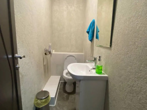 Кот Базилио