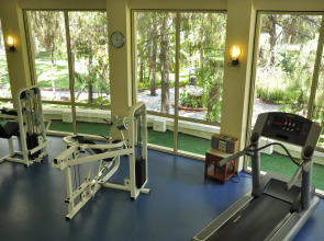 Gypsophila Club Marine