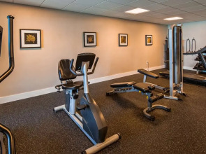 Palm Tree Club Miami Hotel