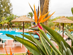 Residence Baia delle Palme