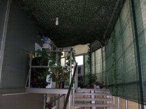 Гостевой дом «Делиф»