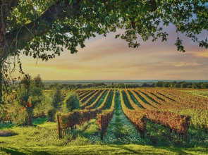 Resort with pool in Riparbella