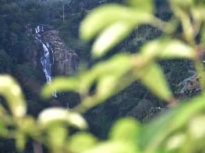 Ella Village View Homestay