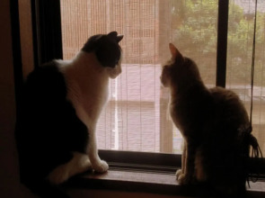 Kyoto Shirakawa Kiraku Inn - Hostel