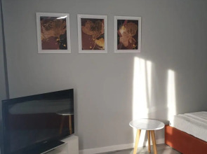 Апартаменты на Онежской 4