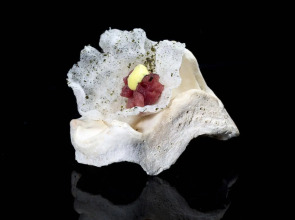 Bela Vista Hotel & SPA - Relais & Châteaux