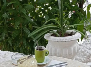 Villa Fortin Pansiyon