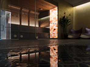 Спа- и конференц-отель V