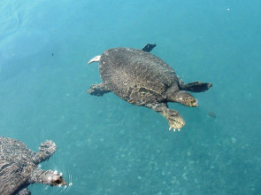 Thermemaris Thermal & Spa Resort