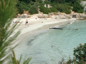 Barceló Ponent Beach