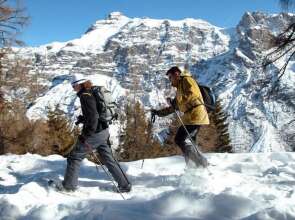 Alpenhotel Speckbacher Hof
