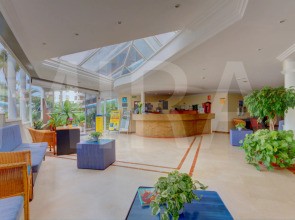 Apartamentos Pez Azul