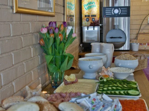 Vanadis Hotell & Bad