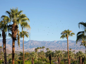 The Saguaro Palm Springs