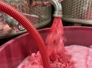 Corte San Mattia - Agriturismo in Verona