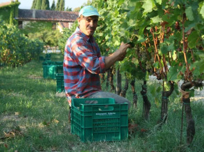 Corte San Mattia - Agriturismo in Verona