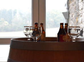 Vintage Holiday Home in Couvin near River