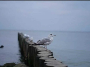 Апартаменты на улице Большая Окружная 4А