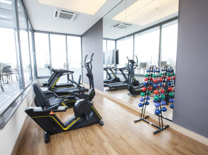 Prodigy Santos Dumont by Wish