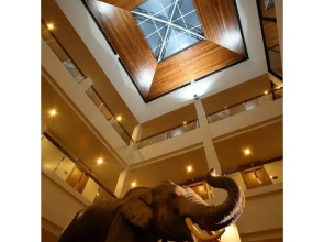 Baan Saikao Plaza Hotel & Service Apartment