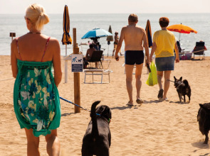 Camping Village Cavallino