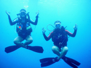 Quo Vadis Dive Resort Moalboal