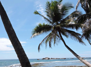 Curry Bowl Restaurant & Turtles Rest