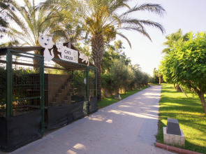 Sherwood Exclusive Lara