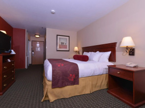 Amsterdam Teleport Hotel