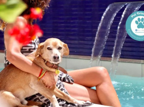 Apartamentos Neptuno