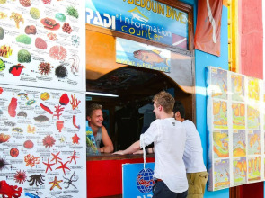 Bedouin Garden Village, Hotel Dive