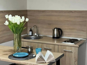 Уютные апартаменты на улице Швецова