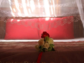 Under the coconut tree - Hostel