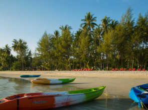 Sunshine on the rock