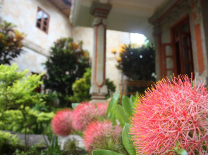 Rambutan Boutique Hotel & Spa