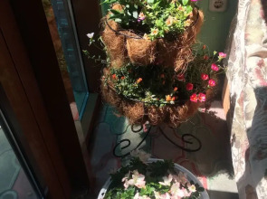 Guest House U Priboya