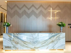 The Art of Living – Inspired Luxury Studio