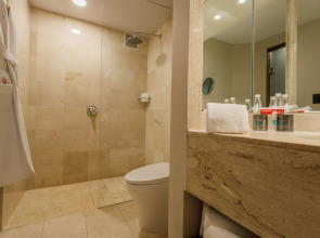 Отель Camino Real Aeropuerto Mexico