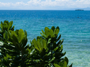 Quo Vadis Dive Resort Moalboal