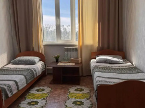 Кедр Золотой