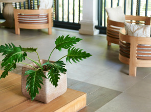 The Ravenala Attitude