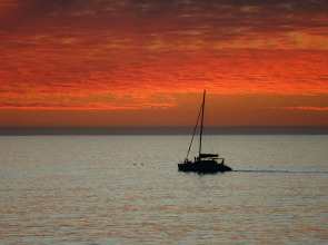 Dolphin Inn Guest House