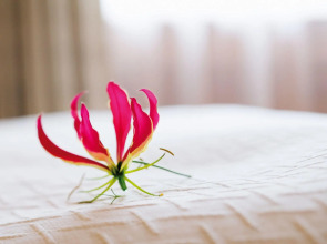 Отель Mövenpick Hotel & Residences Nairobi