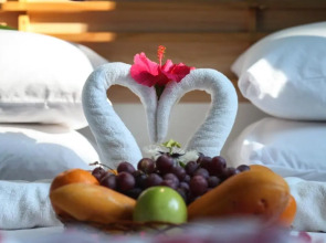 Blue Water Thoddoo Inn