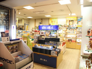 Hotel Mystays Sapporo Aspen